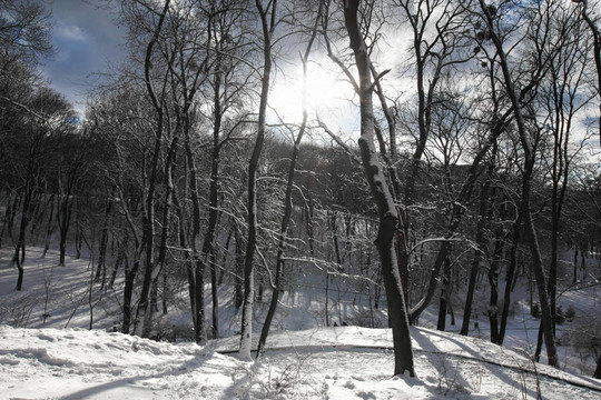 冬天的雪園