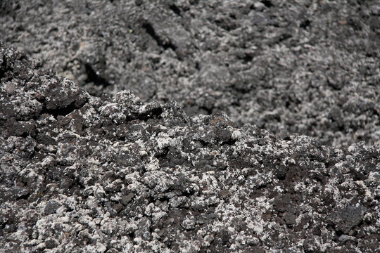 火山巖-朗伊托托島；新西蘭