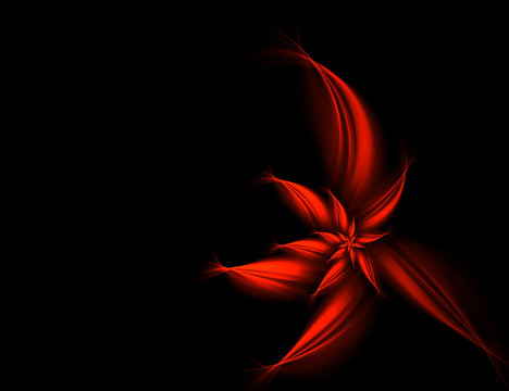 紅色的花