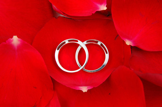 紅色玫瑰花瓣中的結(jié)婚戒指