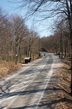 路