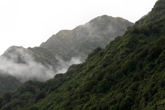 Franz Josef Glacier；新西蘭