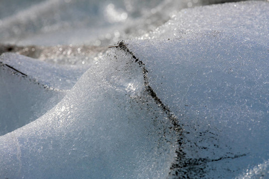 Franz Josef Glacier；新西蘭