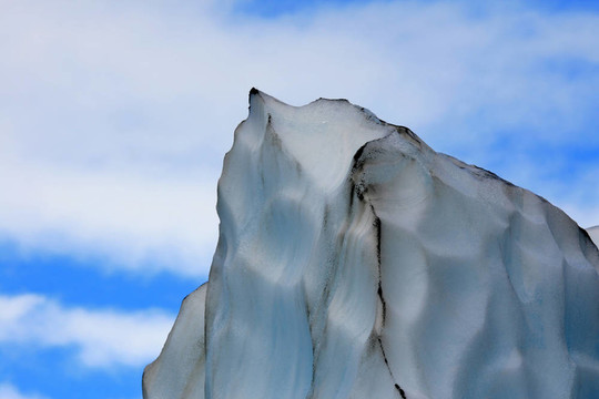 Franz Josef Glacier；新西蘭