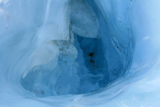 Franz Josef Glacier；新西蘭