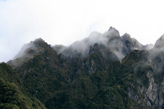 Franz Josef Glacier；新西蘭