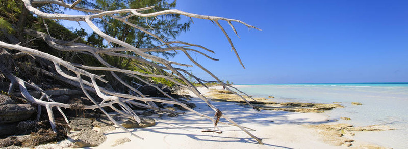 熱帶海灘全景