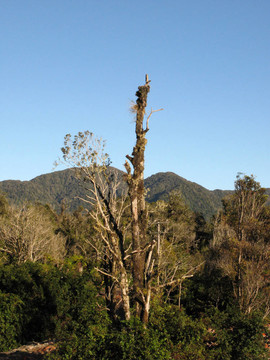 Te Wahipounamu；聯(lián)合國教科文組織保護區(qū)；新西蘭