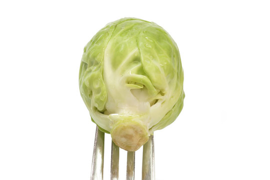 布魯塞爾豆芽