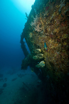 Dunraven