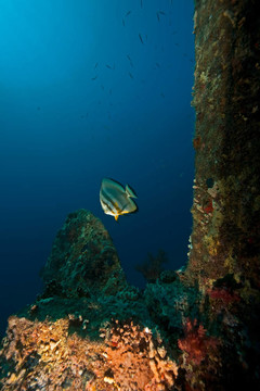 Dunraven