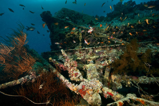 油罐車在thistlegorm