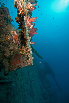 輕高射炮在thistlegorm
