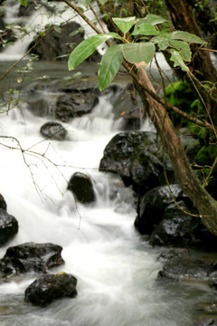 湯加里羅國家公園；新西蘭