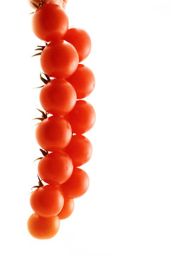 西紅柿
