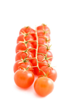 西紅柿