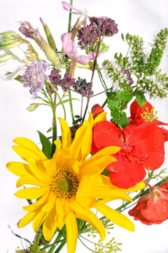 混合花