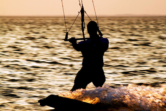 在海灣kitesurfer剪影