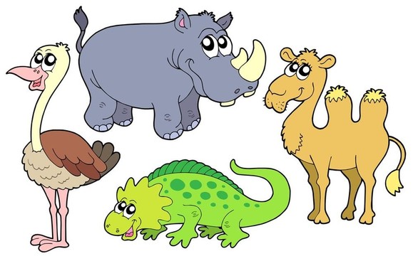 動物園里的動物集合