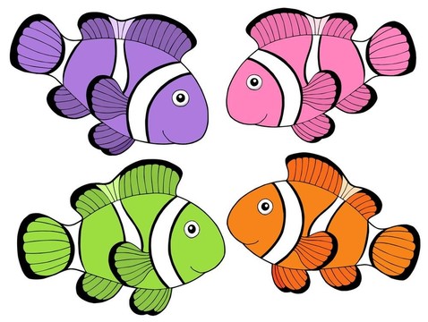 各種顏色的clownfishes 2
