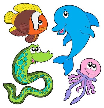 海洋魚類的收集