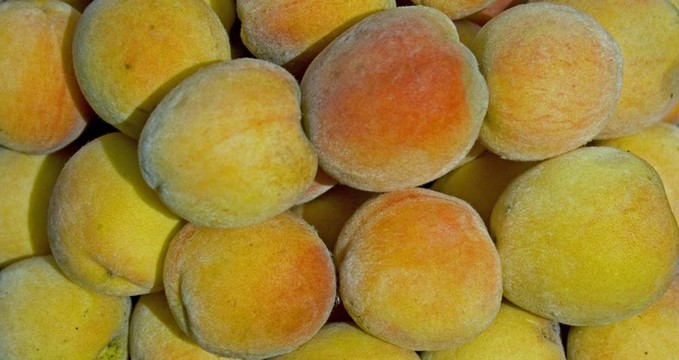 桃子