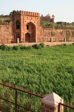 Fatehpur Sikri；Agra；印度