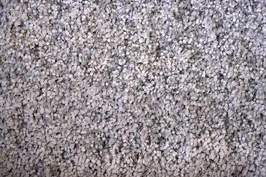 紙的紙屑
