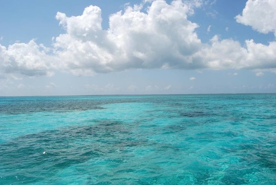 加勒比海