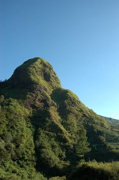 山