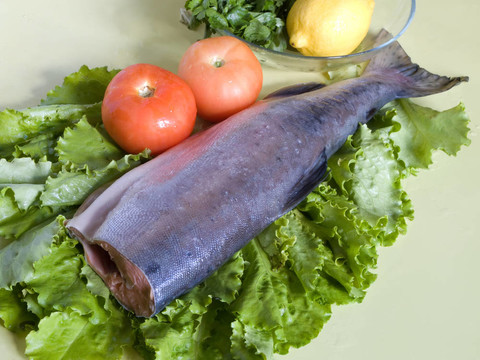 新鮮綠色魚從廚房綠色離開