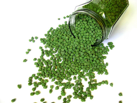 Green Chick Peas泄漏