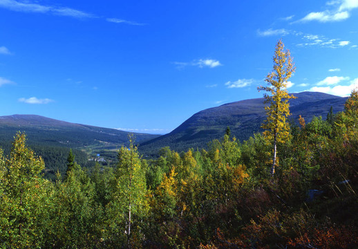 山