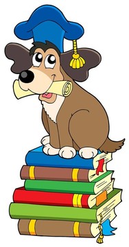 狗老師在一堆書上