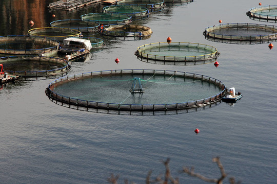 捕魚(yú)業(yè)