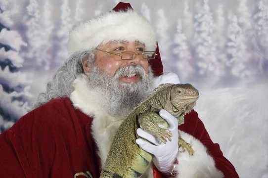 Santa龍
