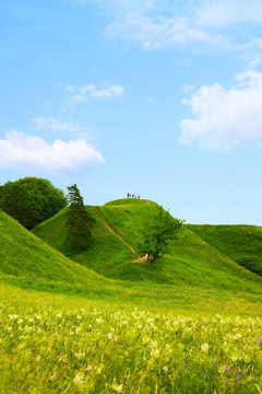 青山