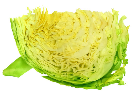 是砍白菜的時(shí)候了