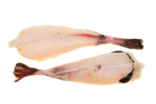 魚(yú)的尾巴