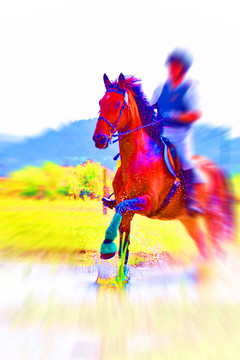 馬在popart