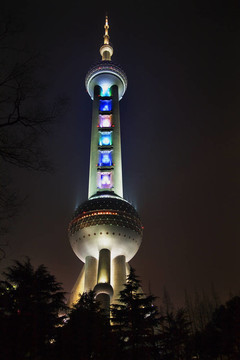 上海電視塔在夜晚樹浦東中國