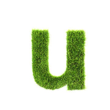 草小寫字母