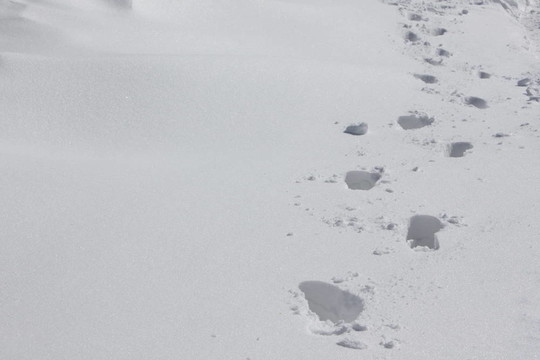 在雪的痕跡