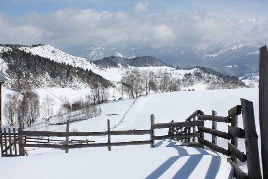 Charpatian景觀