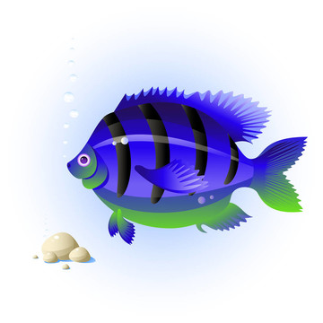 熱帶魚