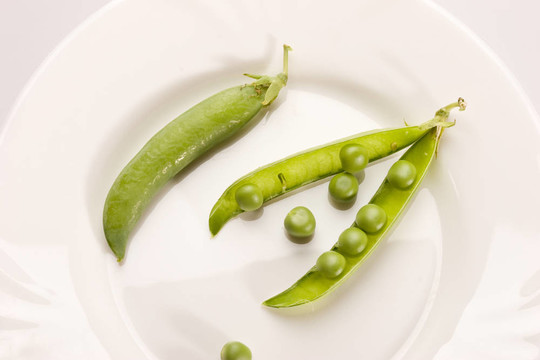 豌豆莢