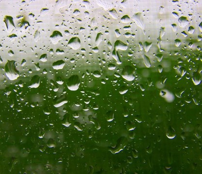 雨