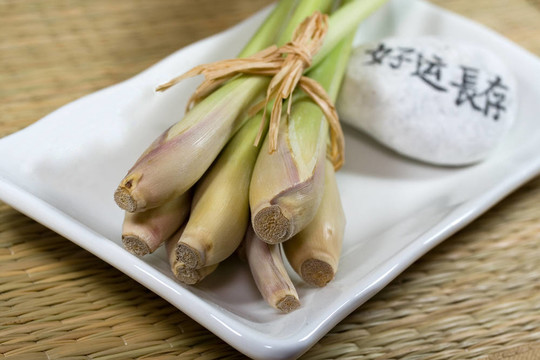 檸檬草