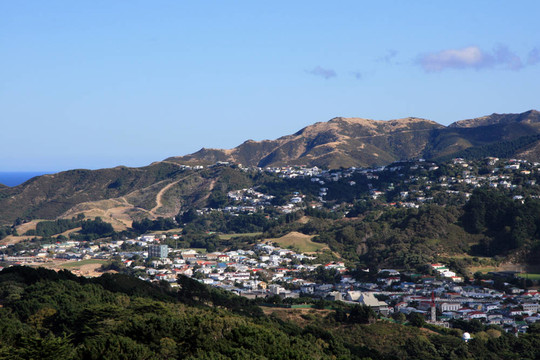 Mt Victoria觀；惠靈頓；新西蘭
