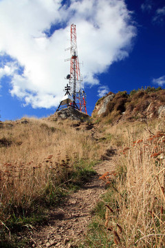 Mt Victoria；惠靈頓；新西蘭